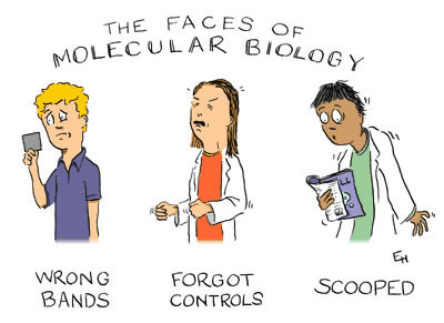 Charges de Biologia Molecular