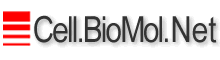 Molecular biology and bioinformatics