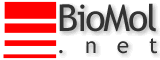 Biologia Molecular e Bioinformatica
